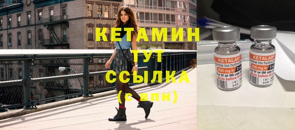 трава Тында
