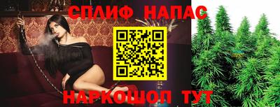 шишки Волгодонск