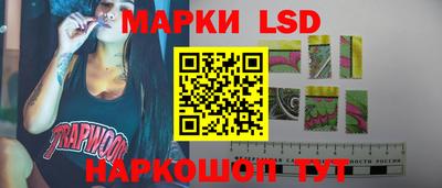 шишки Волгодонск