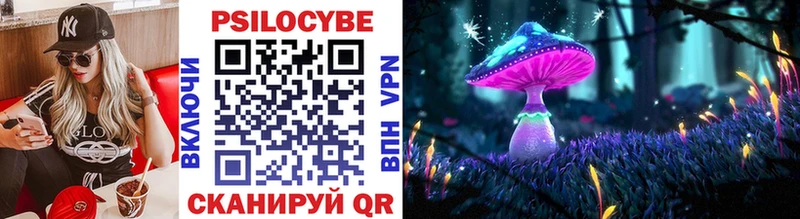 Галлюциногенные грибы прущие грибы  Елец 