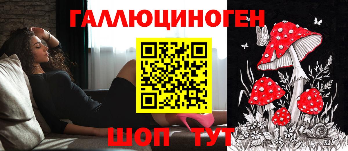 Галлюциногенные грибы Psilocybe  Вход с VPN  где продают   Псилоцибиновые грибы GOLDEN TEACHER  Елец 